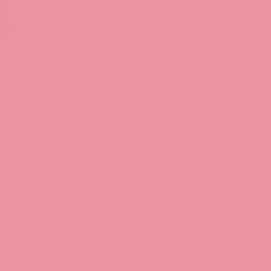 KIKO Milano Energy Shake Long Lasting Blush- Blush